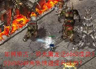 ����ùš�����������6662����302600249��ɫ��������ս����