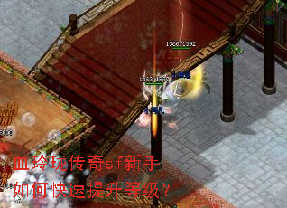 Ѫ���紫��sf������ο��������ȼ���