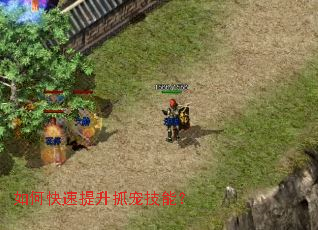 ��ο�������ץ�輼�ܣ�