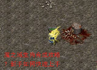 ħ֮����Ф�ϳɹ��ԣ�������ο�������