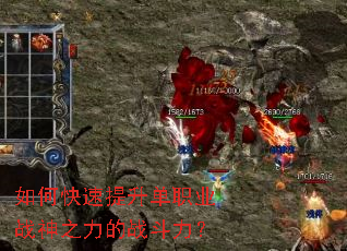 ��ο���������ְҵս��֮����ս������