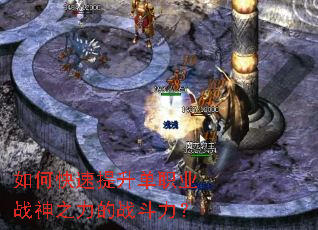 ��ο���������ְҵս��֮����ս������