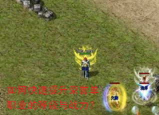 ��ο�������������ְҵ�ĵȼ���ս����