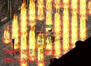 ��ο�������������ְҵ�ĵȼ���ս����