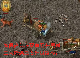 如何高效获取血石并规划二大陆满血石升级路径? 如何高效获取血石并规划二大陆满血石升级路径?