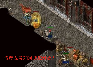 ����������ο���������