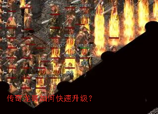 ����������ο���������