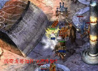 ����������ο���������