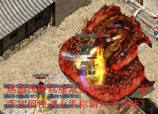 ��Ѫ����˽����ҳ����ô�棿������ο������ֳư��귨��½��