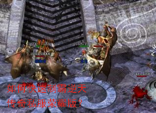 ��ο����ư����촫��˽����ҫ�棿