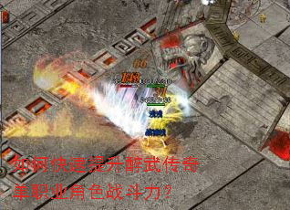 ��ο����������䴫�浥ְҵ��ɫս������