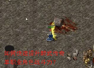 ��ο����������䴫�浥ְҵ��ɫս������