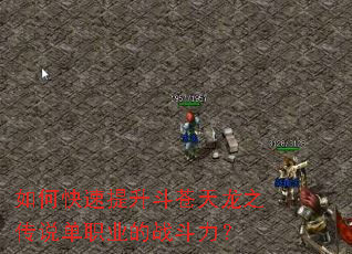 ��ο���������������֮��˵��ְҵ��ս������