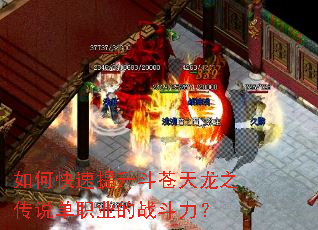 ��ο���������������֮��˵��ְҵ��ս������