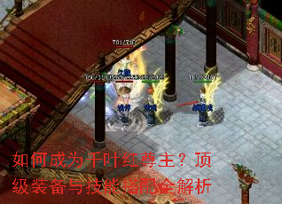 ��γ�ΪǧҶ������������װ���뼼�ܴ���ȫ����