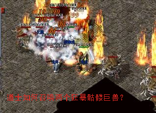 ��ʿ����ٻ����������þ��ޣ�