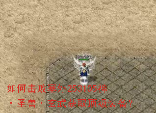 ��λ�������253105��ʥ�ޡ������ȡ����װ����