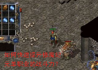 ��ο���������ħ��Ԫ��ְҵ��ս������