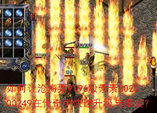 如何让沧海粟9196殷素素302300249在传奇中快速升级与爆装? 如何让沧海粟9196殷素素302300249在传奇中快速升级与爆装?