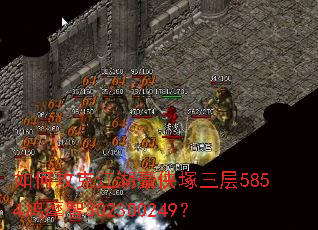 ��ι��˽��������V����5854�Ħ��302300249��