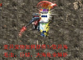 ���������λ�ã����캣ë�桢���ܡ��󺣹�ȫ����