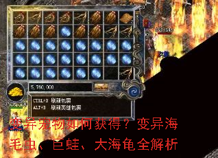 ���������λ�ã����캣ë�桢���ܡ��󺣹�ȫ����