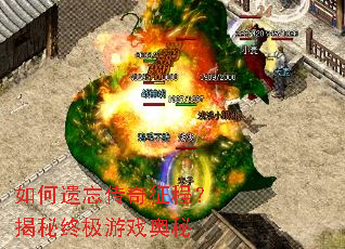 ��������������̣������ռ���Ϸ����