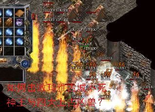 ��λ������Źųǲ����������Ĵ��Ϲ����ޣ�