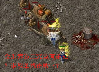 ��צ����������ж�ǿ��˭�ܵ�����������