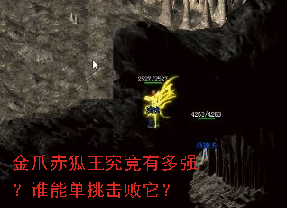 ��צ����������ж�ǿ��˭�ܵ�����������