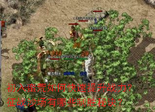 ����������ο�������ս������սɳ������Щ��ʤ�ؾ���