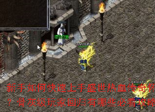 ������ο�������ʢ����Ѫ���滳�ɰ棿�ǻҼ���һع�����Щ�ؿ����ԣ�