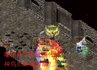 �������������״��������������ˣ�