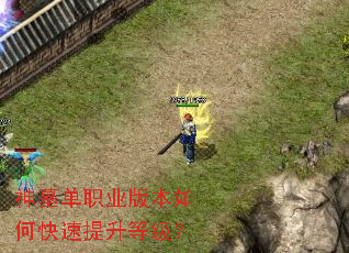 ��Ĺ��ְҵ�汾��ο��������ȼ���