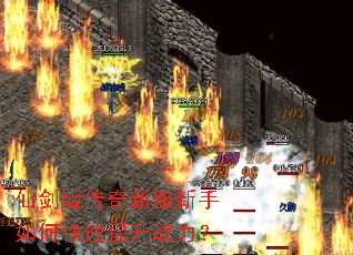 仙剑版传奇新服新手如何快速提升战力? 仙剑版传奇新服新手如何快速提升战力?