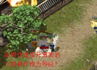 如何快速提升黄裳的九阴真经修为等级? 如何快速提升黄裳的九阴真经修为等级?