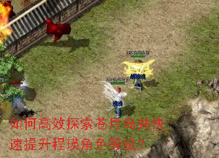 如何高效探索苍月岛并快速提升程瑛角色等级? 如何高效探索苍月岛并快速提升程瑛角色等级?