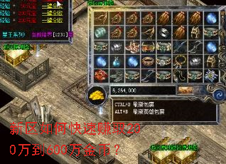 新区如何快速赚取200万到600万金币? 新区如何快速赚取200万到600万金币?