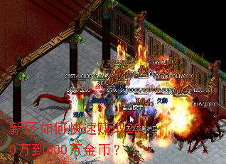 新区如何快速赚取200万到600万金币? 新区如何快速赚取200万到600万金币?
