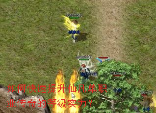 如何快速提升仙凡单职业传奇的等级实力? 如何快速提升仙凡单职业传奇的等级实力?