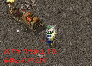 新手如何快速上手荣耀新服巅峰之路? 新手如何快速上手荣耀新服巅峰之路?