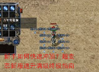 新手如何快速冲顶?超变态新服速升满级终极指南 新手如何快速冲顶?超变态新服速升满级终极指南
