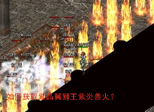 如何获取紫晶翼狮王紫炎兽火? 如何获取紫晶翼狮王紫炎兽火?