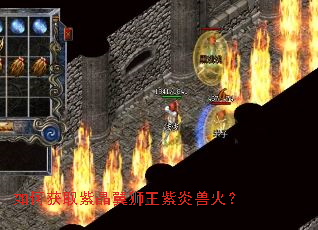 如何获取紫晶翼狮王紫炎兽火? 如何获取紫晶翼狮王紫炎兽火?