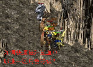 如何快速提升逆血单职业一区角色等级? 如何快速提升逆血单职业一区角色等级?