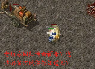 老玩家回归传奇新服?这些必备攻略你都知道吗? 老玩家回归传奇新服?这些必备攻略你都知道吗?