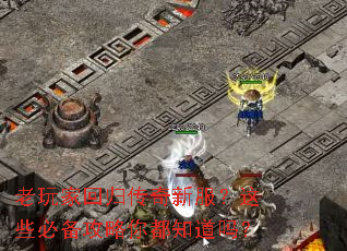 ����һع鴫���·�����Щ�ر������㶼֪����