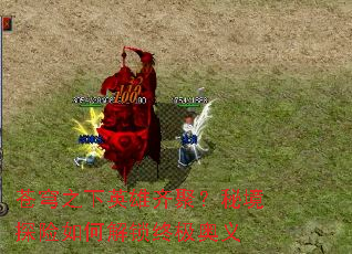 苍穹之下英雄齐聚?秘境探险如何解锁终极奥义 苍穹之下英雄齐聚?秘境探险如何解锁终极奥义