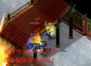 如何快速提升九眩六孩单职业角色等级? 如何快速提升九眩六孩单职业角色等级?