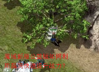 魔域新服公益版如何利用漏洞快速提升战力? 魔域新服公益版如何利用漏洞快速提升战力?